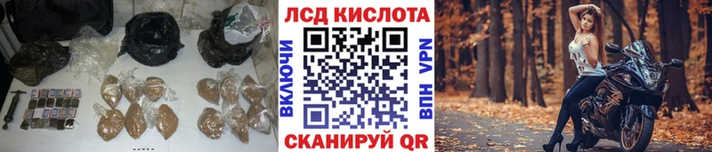 блэк спрут как зайти  Козловка  Лсд 25 экстази кислота 