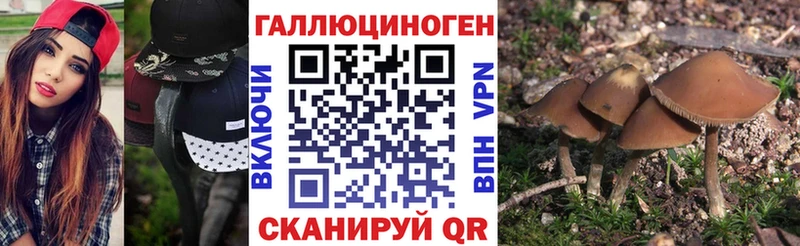 нарко площадка формула  Козловка  Галлюциногенные грибы Magic Shrooms 